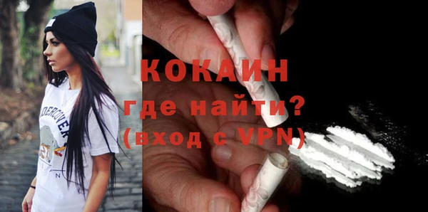 МДПВ Инсар