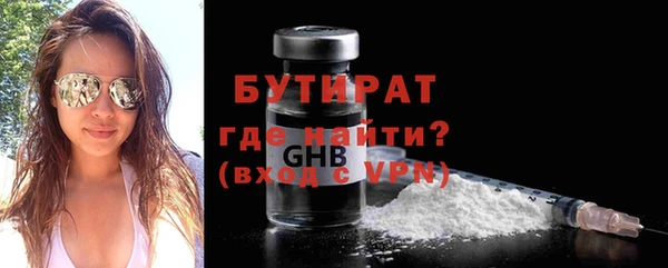 гидра Инта