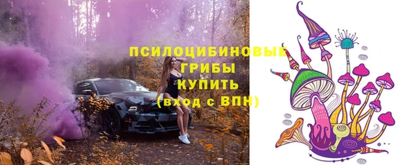 гидропоника Иннополис