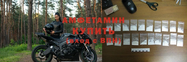 гидра Инта