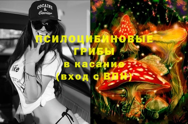 хмурый Волосово