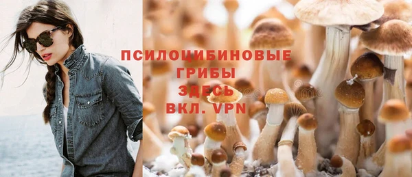 ПСИЛОЦИБИНОВЫЕ ГРИБЫ Волоколамск